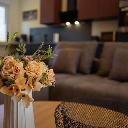 Ferienwohnung Philipp ترابن ترارباخ المظهر الخارجي الصورة